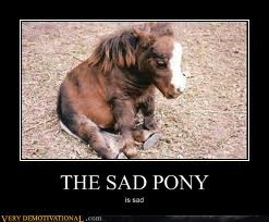 Poor Pony. He might need to be shot soon. 